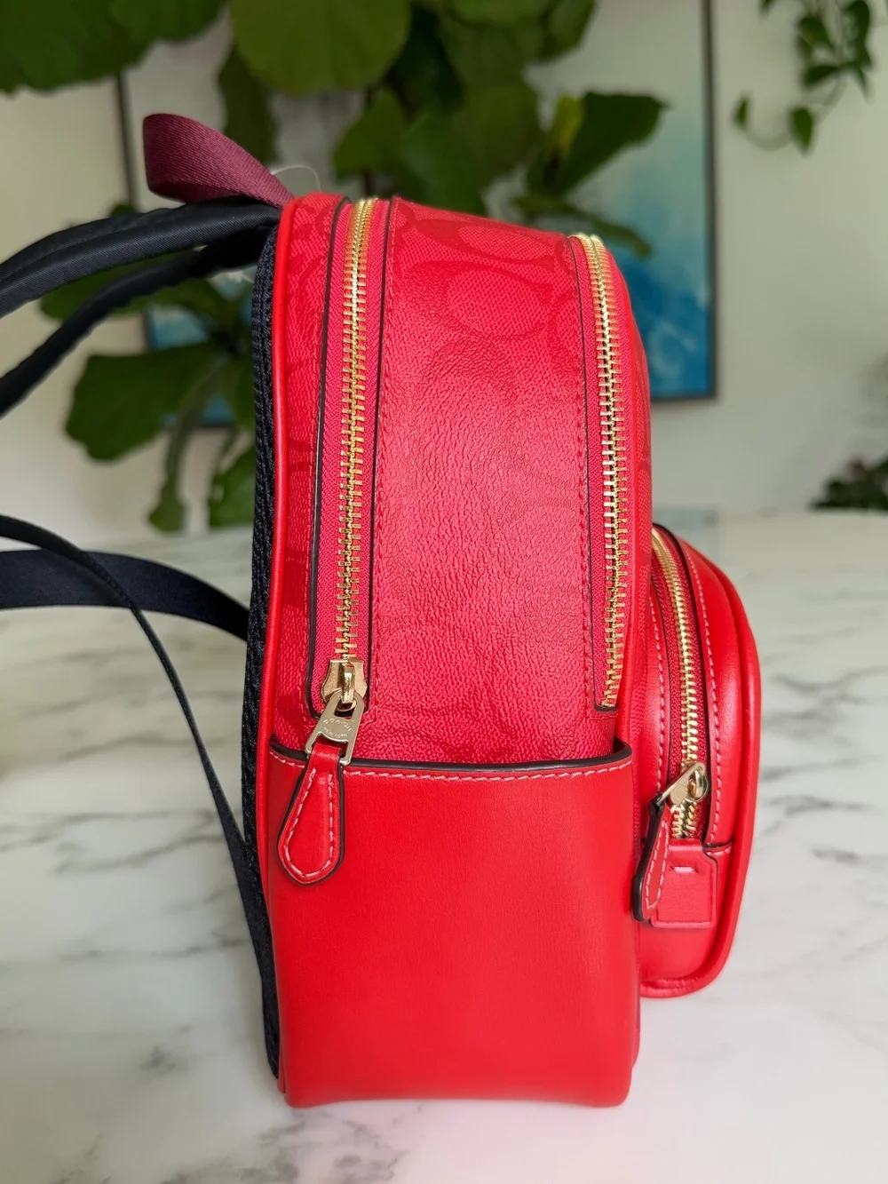 NWT Coach Mini Court Backpack In Signature Canvas & Leather C8604 Miami Red